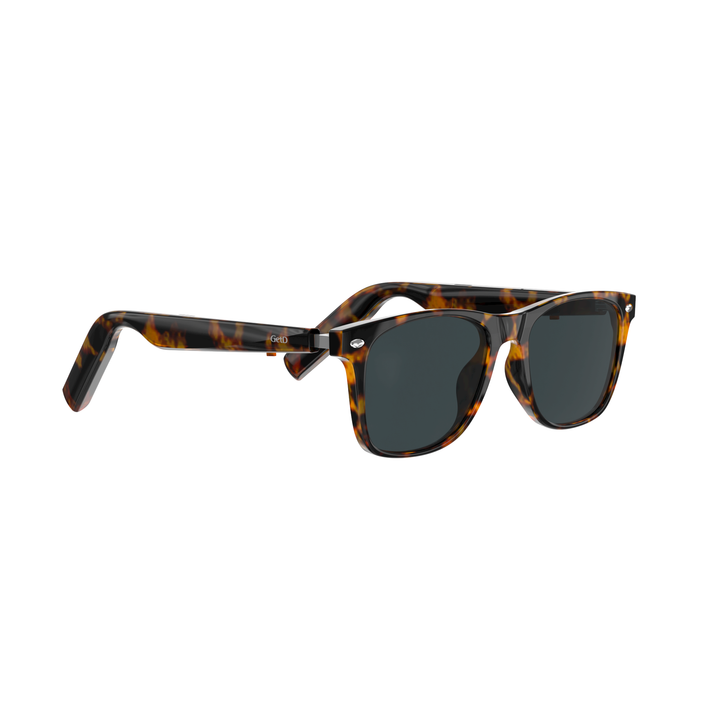 Wayfarer Smart Sunglass – Tortoise Gray