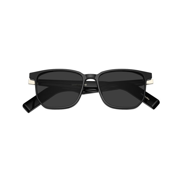 Smart AI Sunglass GD07SRJ-PO