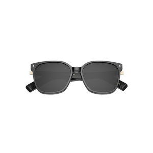 Smart AI Sunglass GD04SRJ-PO