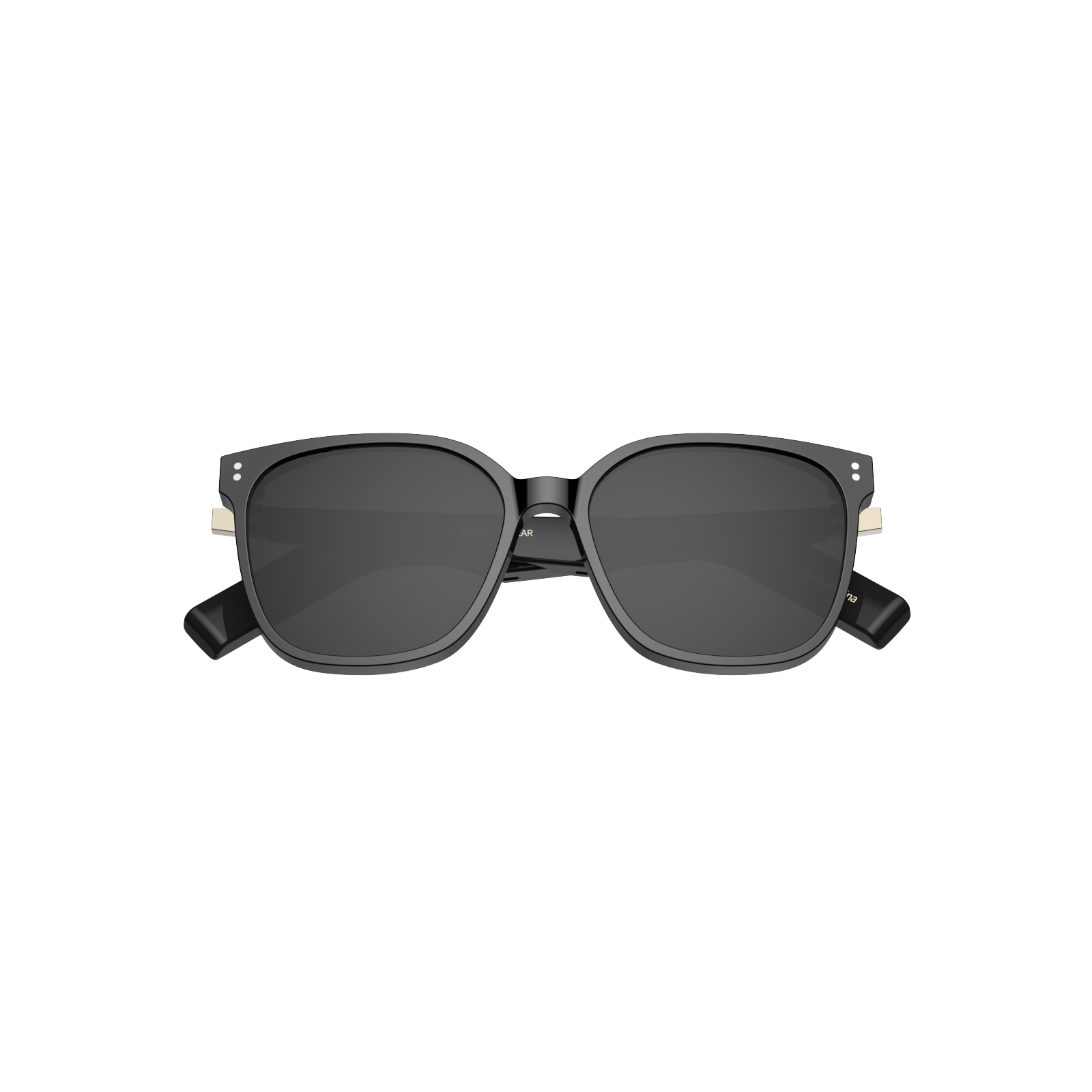 Smart AI Sunglass GD04SRJ-PO