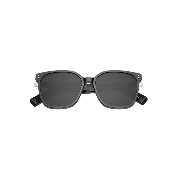 Smart AI Sunglass GD04SRJ-PO