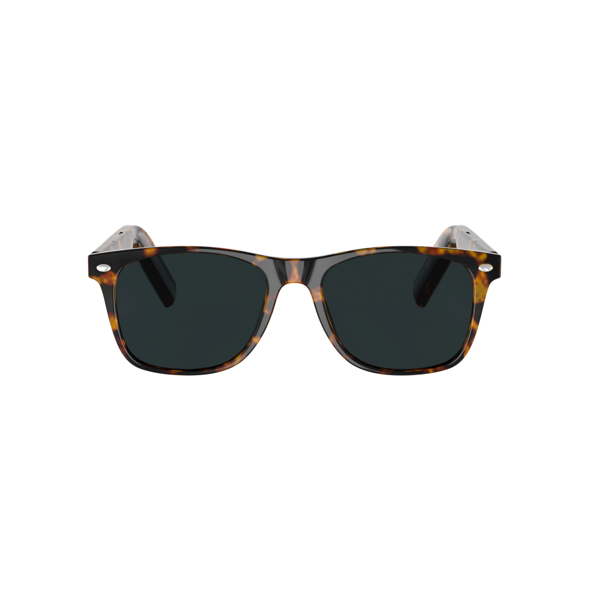 Wayfarer Smart Sunglass – Tortoise Gray