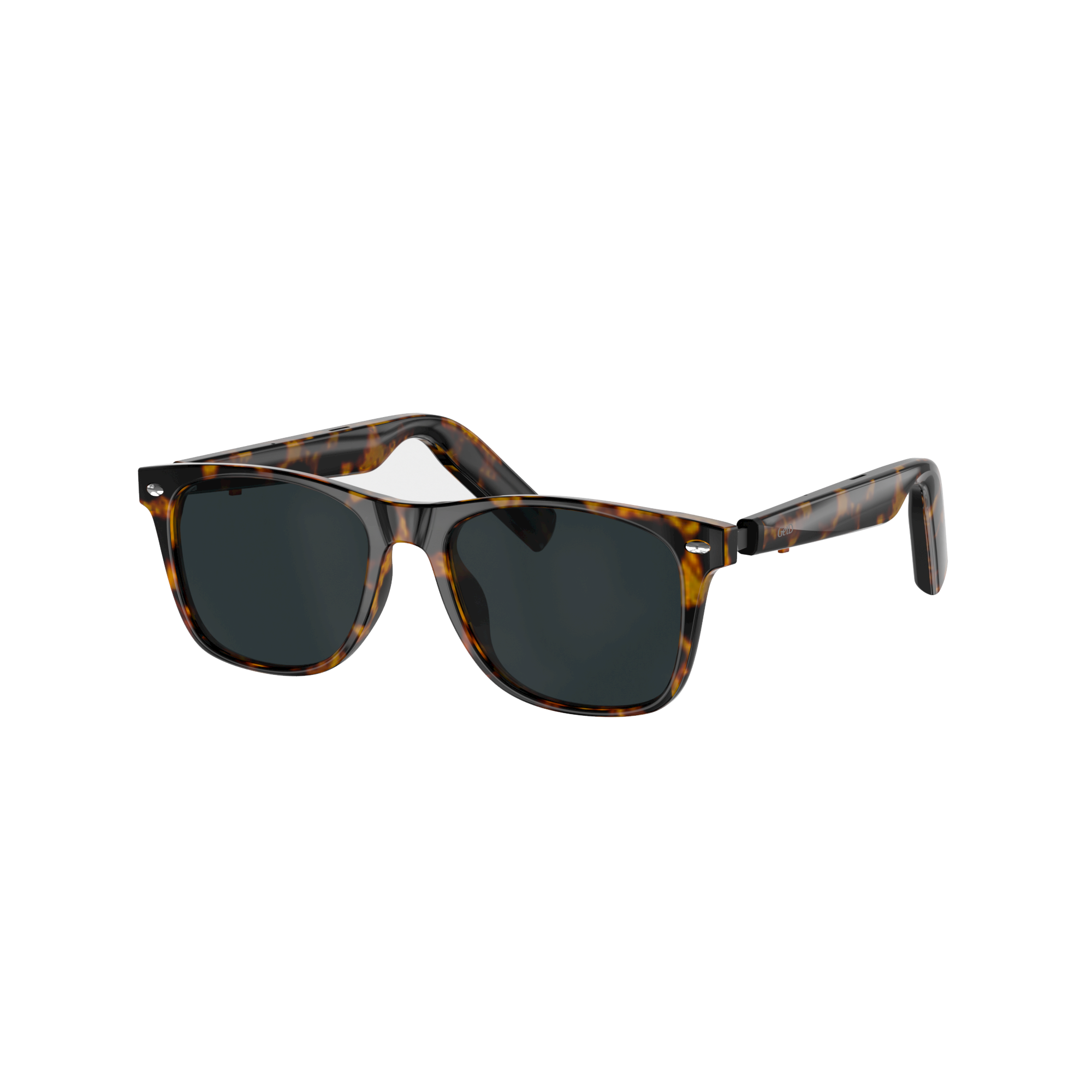Wayfarer Smart Sunglass – Tortoise Gray