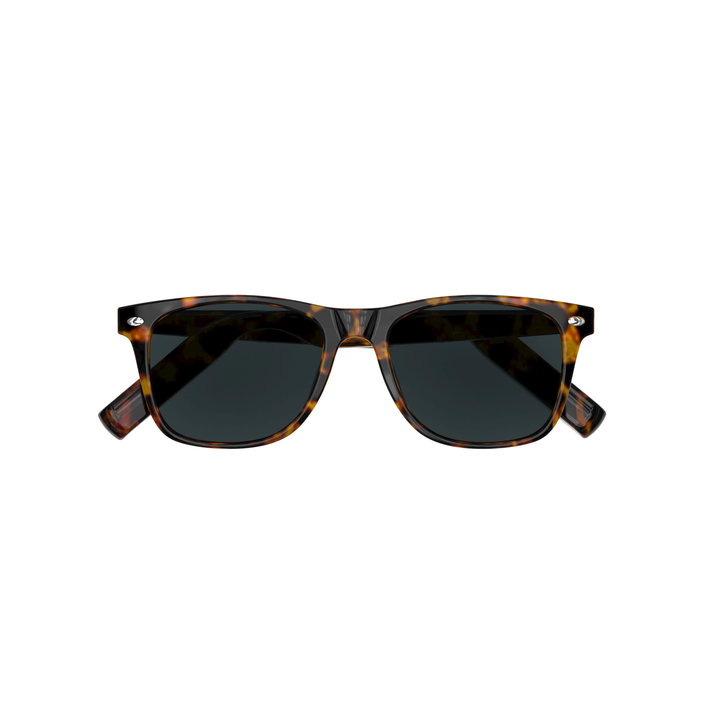 Wayfarer Smart Sunglass – Tortoise Gray